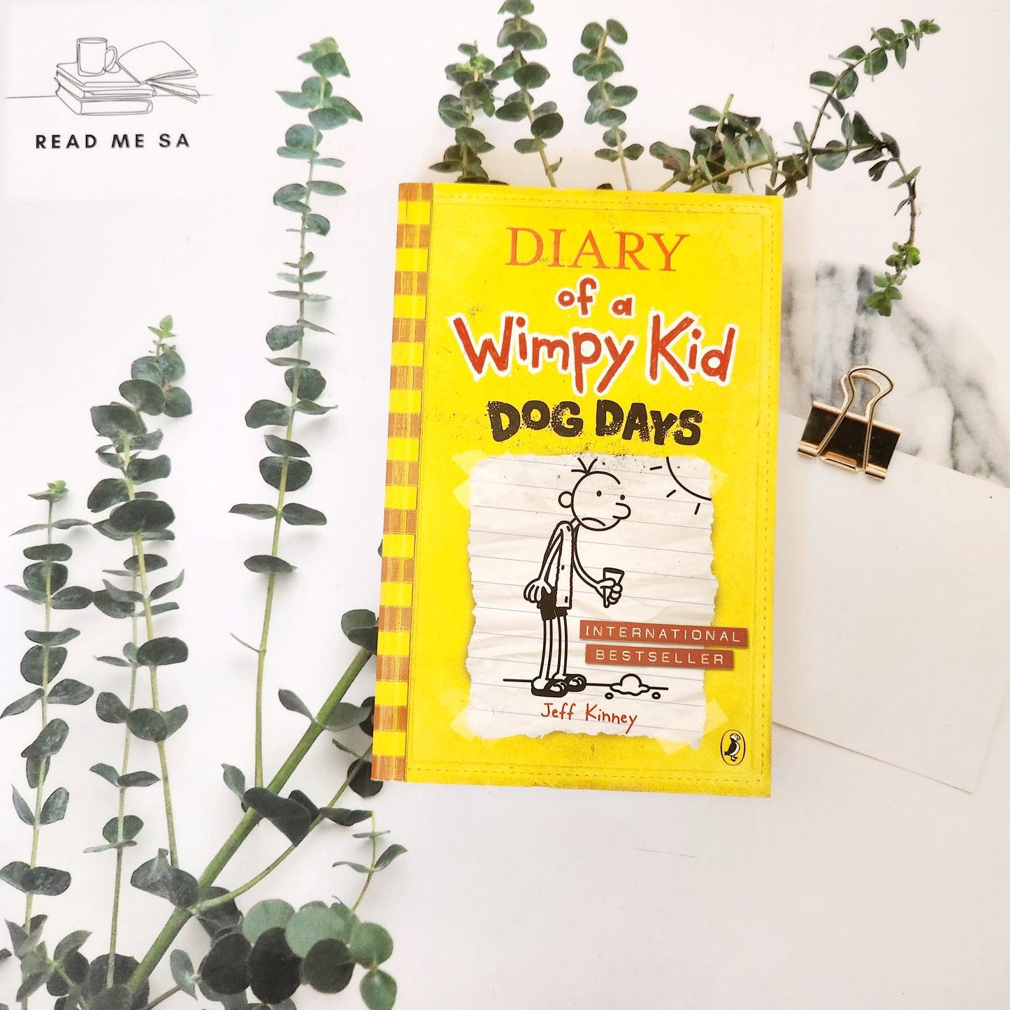 Diary Of A Wimpy Kid Series