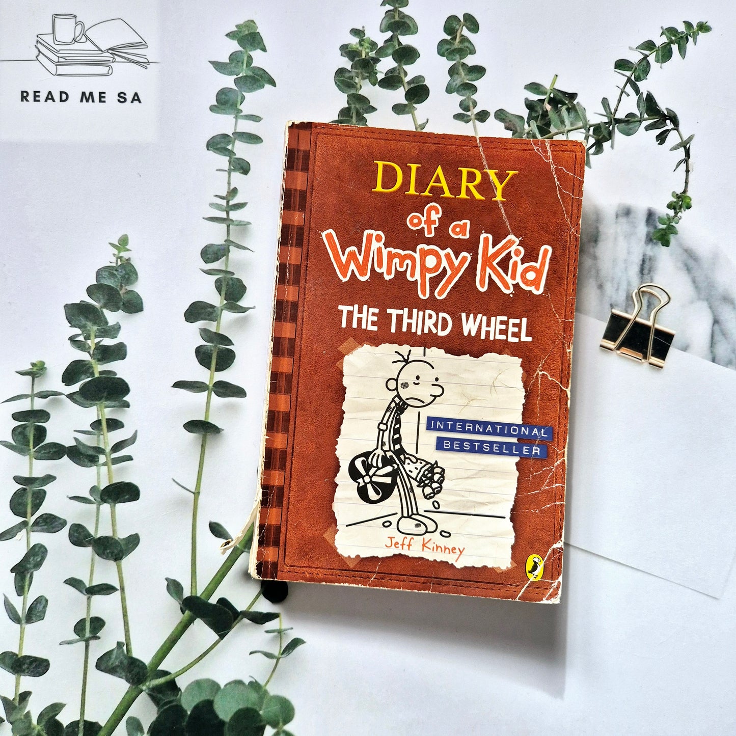 Diary Of A Wimpy Kid Series