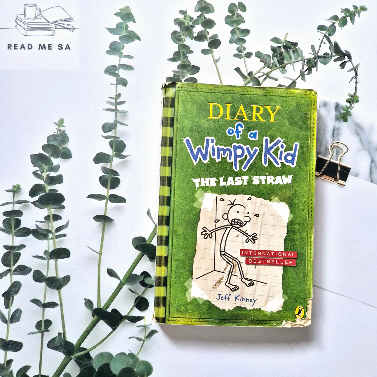 Diary Of A Wimpy Kid Series